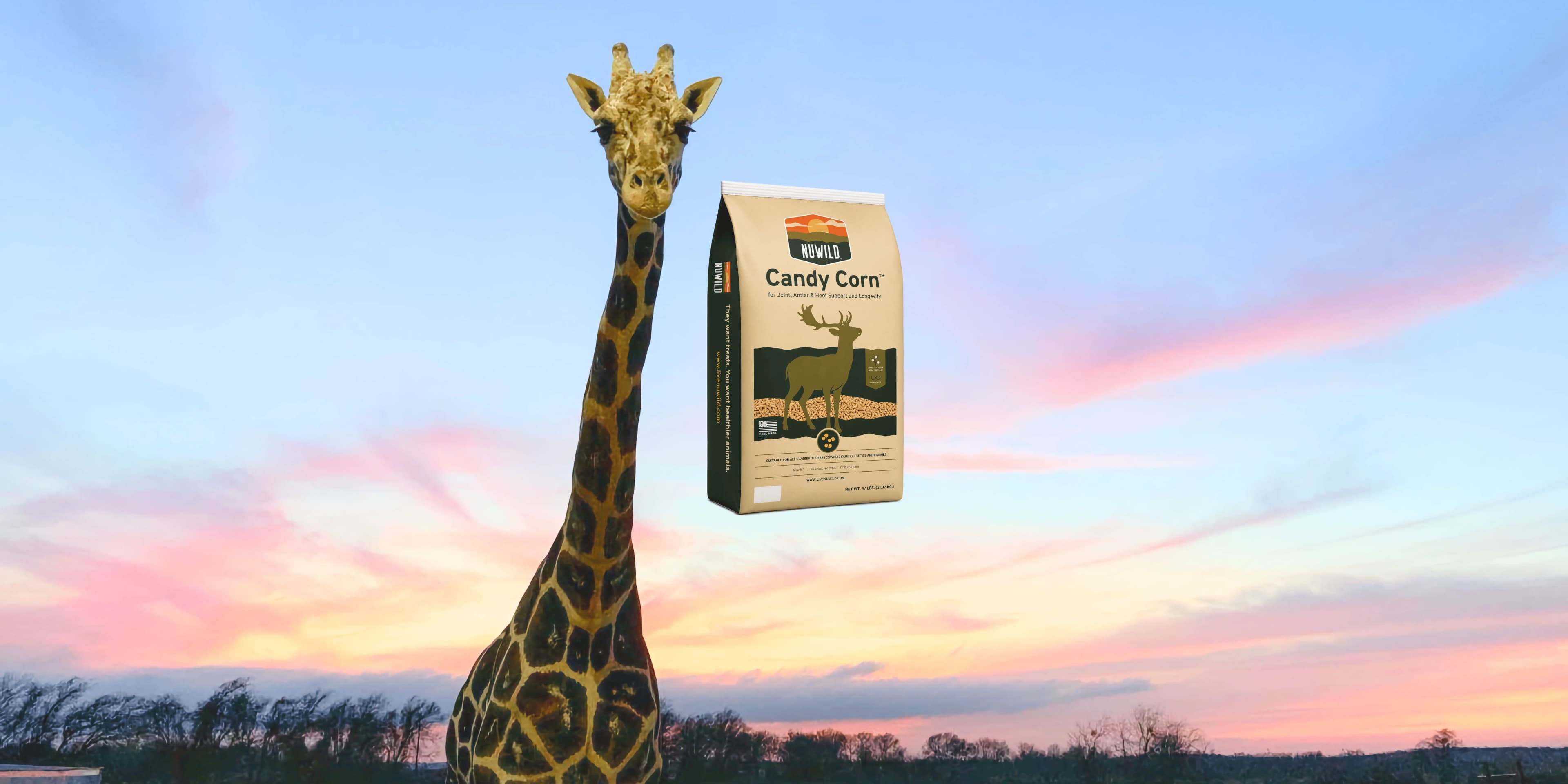 Giraffe beside a bag of NuWild Candy Corn against a blue and pink sunset sky